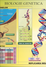 Biologie genetica