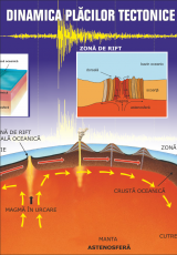 Dinamica placilor tectonice