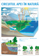 Circuitul apei in natura 1